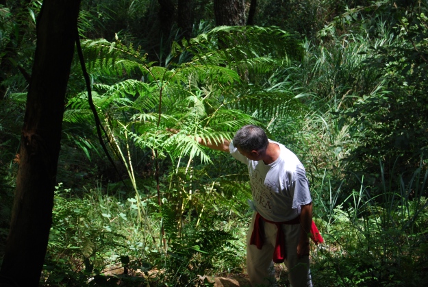 Tony Avent, modestly hiding his tears of joy as he discovers a new (to him) fern with viable spores.