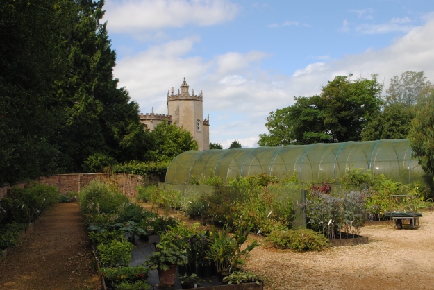Few nurseries can boast the borrowed scenery of Nick Macer's Pan-Global Plants at Frampton Court.