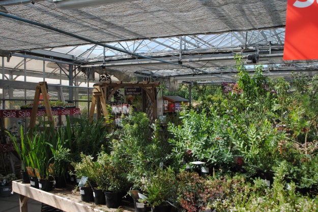 Notcutt's Nursery has a great selection of plants and garden accessories.