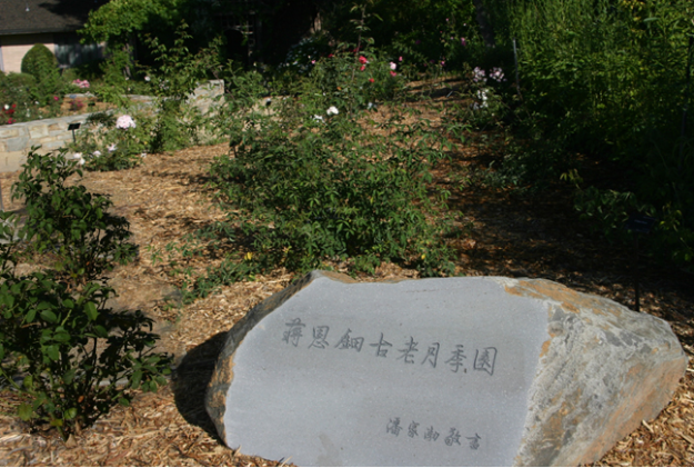 Jiang Entian Chinese Heritage Rose Garden at Quarryhill Botanical Garden was dedicated in 2012.